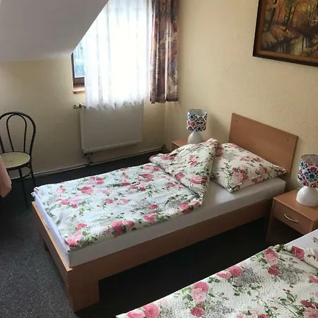 فندق مبيت وإفطار Goscinne